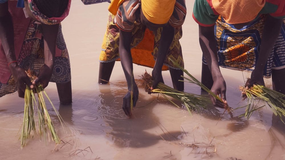 pulsi site.01_58_55_22.Still013