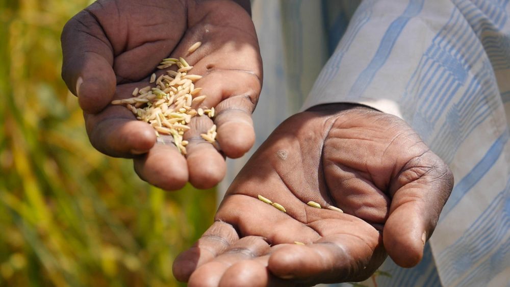 pulsi site.02_16_07_16.Still019