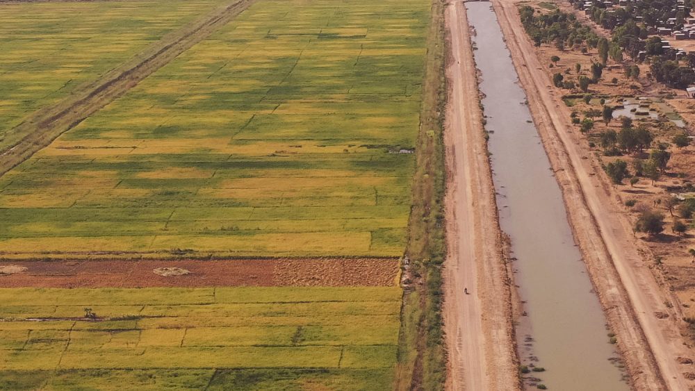 pulsi site.03_12_11_04.Still034