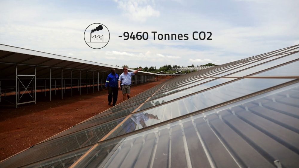 sunref.00_09_46_22.Still014